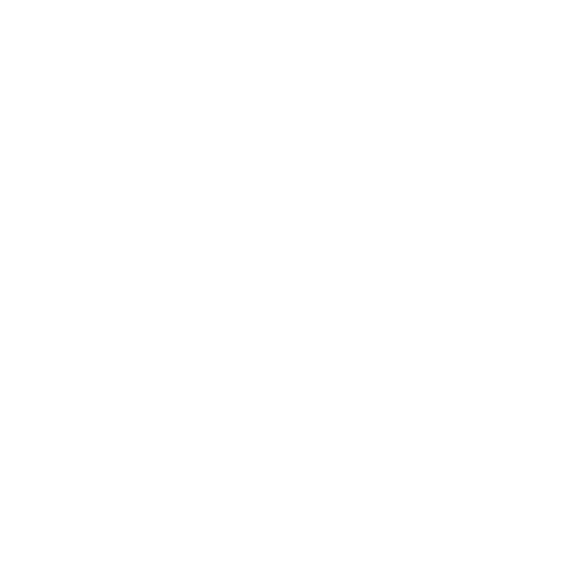 SECURITY PRIVACY