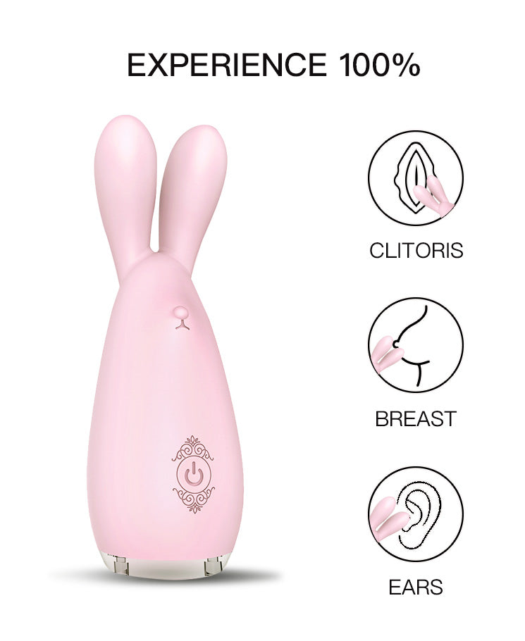 Pink Bunny Dual-Tip Vibrator – Soft Silicone Intimate Toy with Multi-Speed Vibration